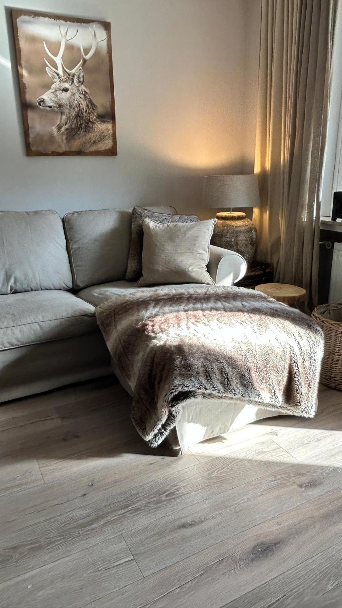 Ferienapartment Hahnenklee Apart 1 Goslar Eksteriør bilde