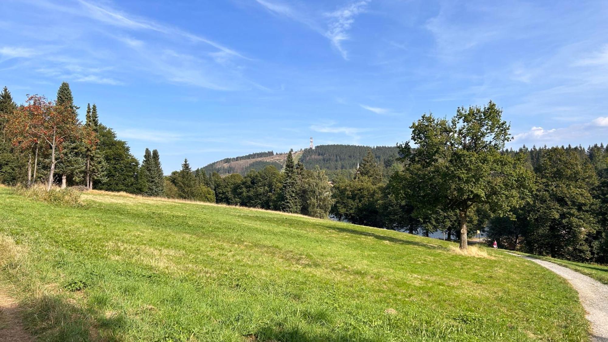 Ferienapartment Hahnenklee Apart 1 Goslar Eksteriør bilde