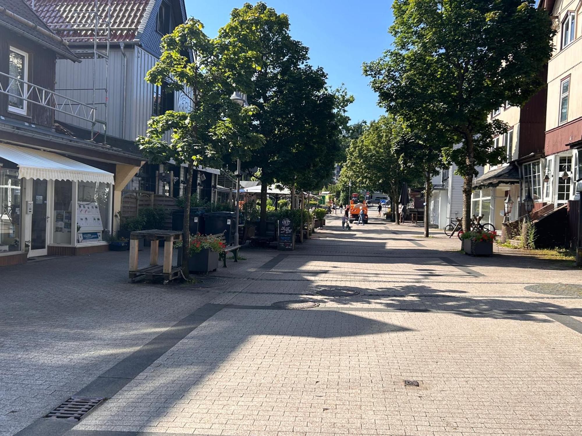 Ferienapartment Hahnenklee Apart 1 Goslar Eksteriør bilde
